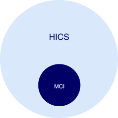 Schematic representation of MCI as part of the HICS